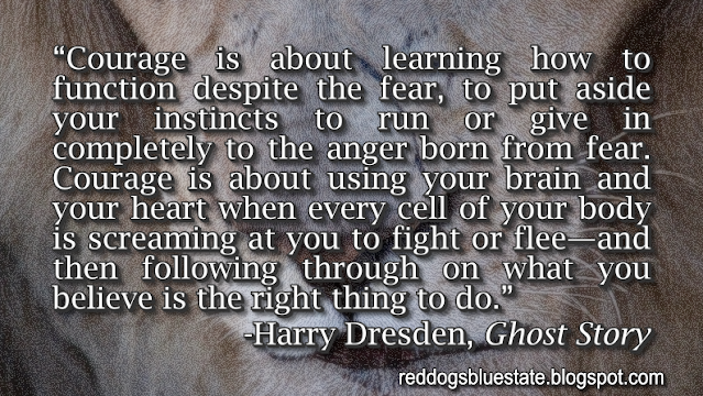 “Courage is about learning how to function despite the fear, to put aside your instincts to run or give in completely to the anger born from fear. Courage is about using your brain and your heart when every cell of your body is screaming at you to fight or flee—and then following through on what you believe is the right thing to do.” -Harry Dresden, _Ghost Story_