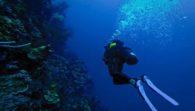 Menikmati Keindahan Bawah Laut Pulau Karampaung  Di Sulawesi Barat  