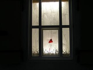 Window