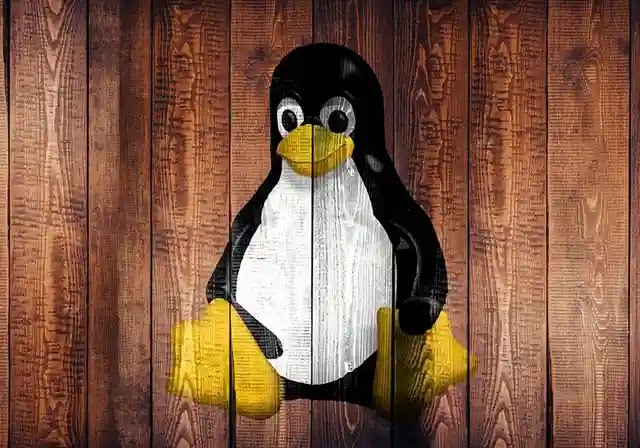 وصل Linux 6.0 - إليك كل ما تحتاج إلى معرفته