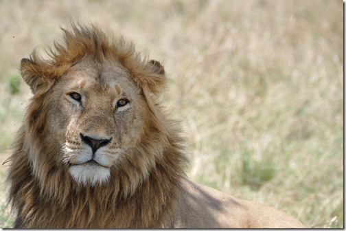 25 Africa 365