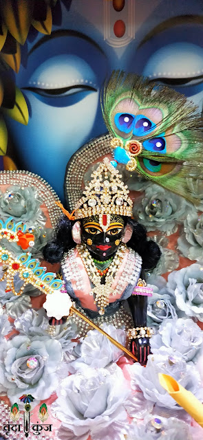 Ladoo gopal, Radha Rani