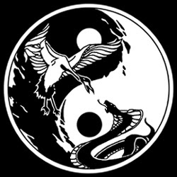 Sejarah Rahasia Seni Beladiri Wing Chun Ipman