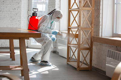 Worker Wearing PPE Suit Sanitizing the Apartment during Covid Lockdown