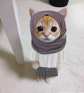 pp kucing ramadhan berhijab pinterest