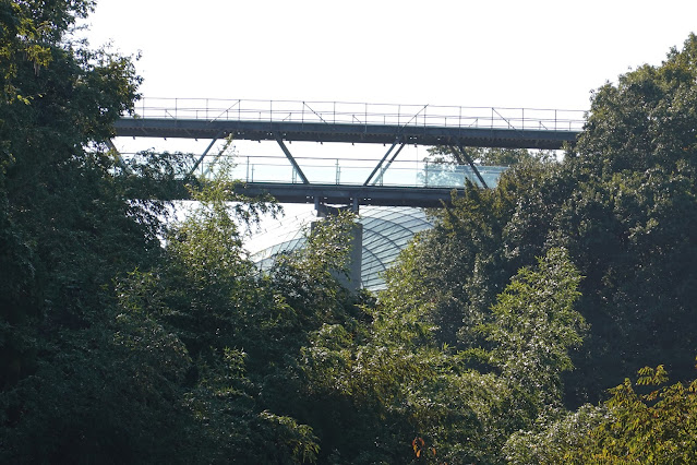 鳥取県西伯郡南部町鶴田　とっとり花回廊