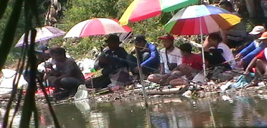 Berita Rokok Ilegal Di Ngawi