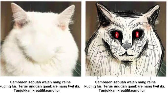 7 Kreativitas Netizen Menggambar Wajah Kucing Ini Hasilnya Bikin Ngakak