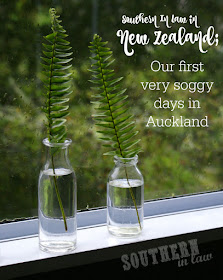 Southern In Law in New Zealand - What to do on a Rainy Day in Auckland