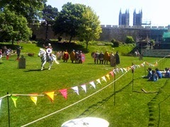 Pic_0517_019