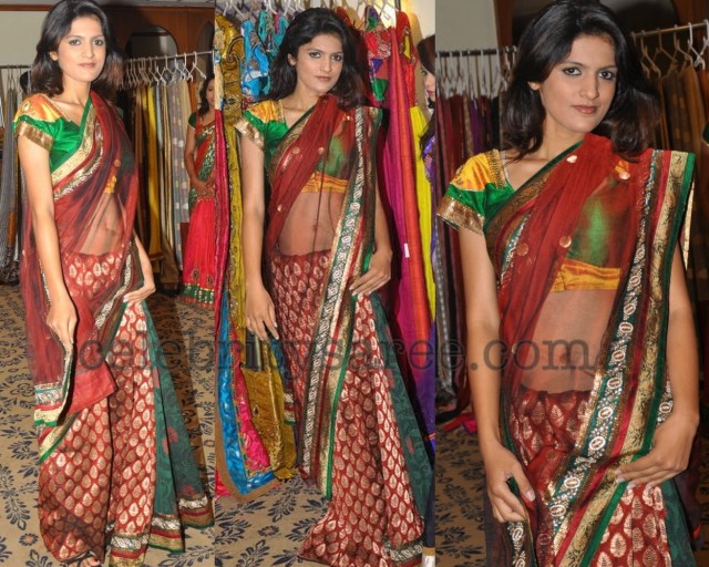 Transparent Banaras Tissue Sari