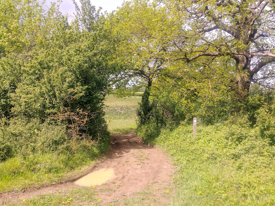 Go through the gap in the hedge and continue on Bengeo Rural footpath 4