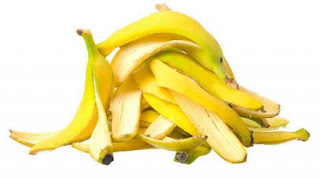 Kulit Pisang