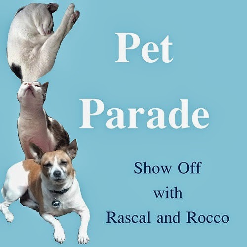 Pet Parade