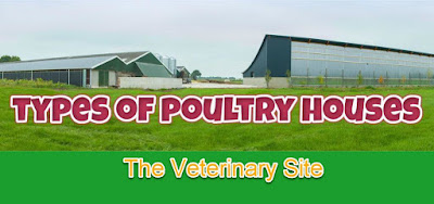 poultry-house-system-types