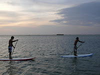 Stand Up Paddle with surfschool-srilanka