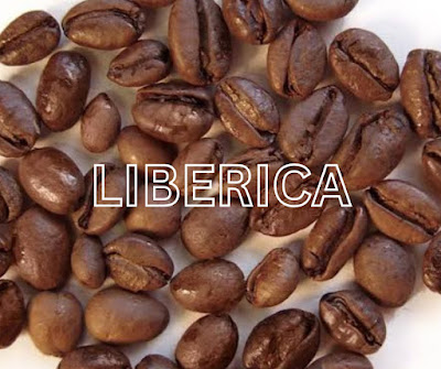 Liberica Coffee Beans