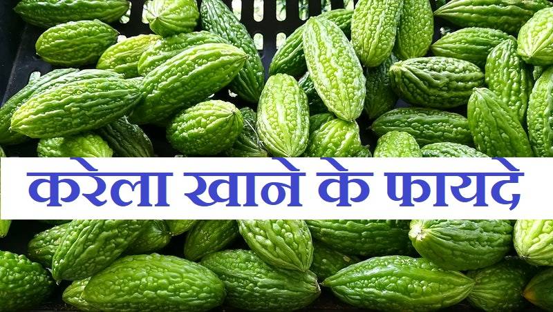 Benefits Of Bitter Gourd in hindi