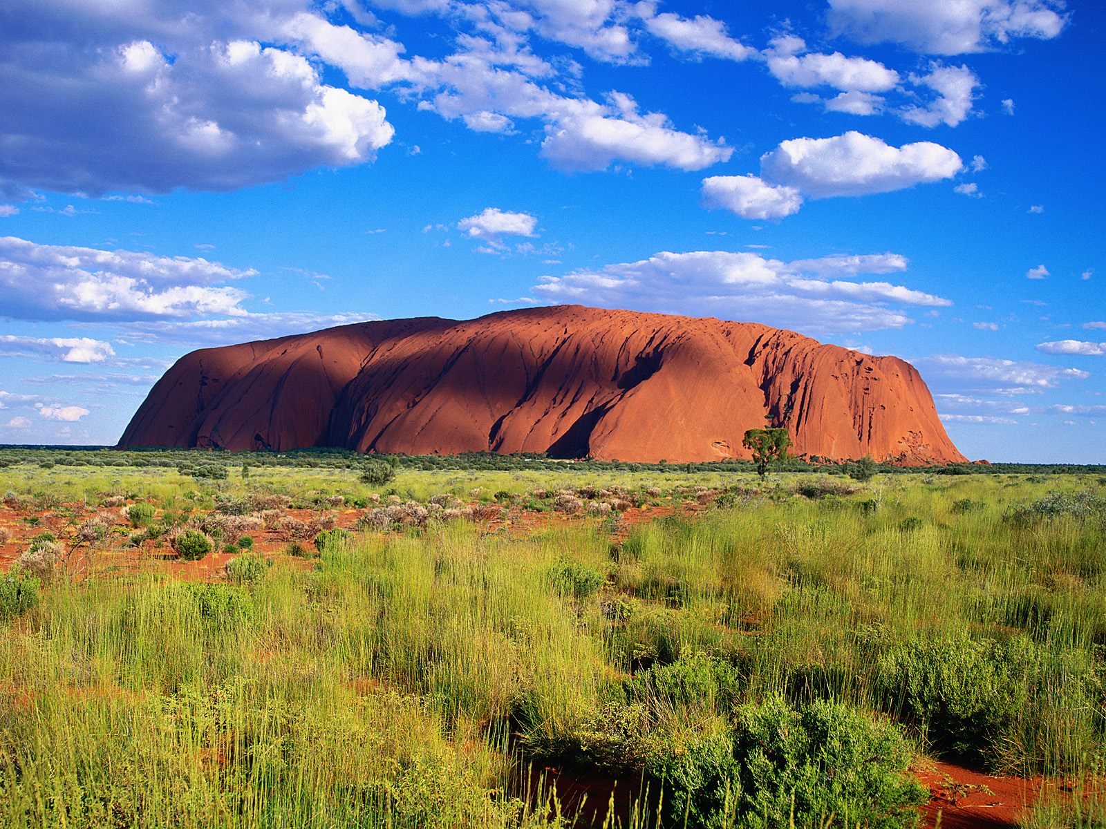 ... australia the pinnacles nambung national park western australia