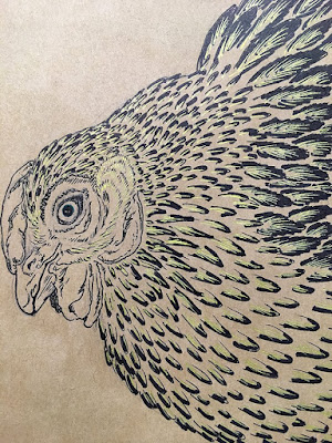 A vertical pen drawing on medium-brown paper of a chicken's head and torso, leaning in from right and nearly filling the page. The drawing is finely detailed in black pen, with gold highlights on the feather centers.