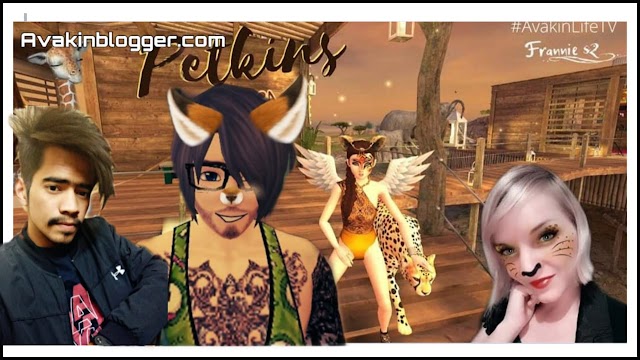 Frannies2 Interview about Avakin life vs Real life 