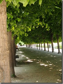 P6082119