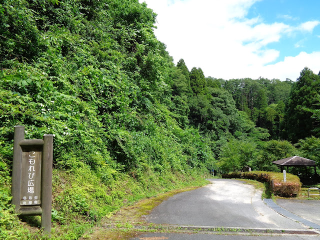 鎌倉山グリーンライン　こもれび広場