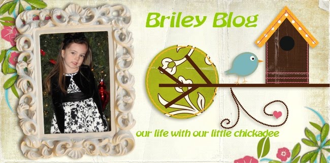 Briley Blog