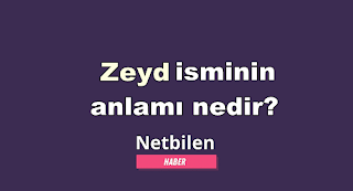 zeyd ne demek