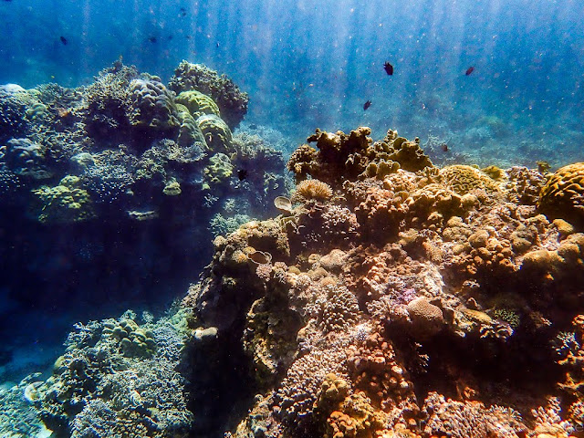 Calibangbongan-Island-Archipel-de-Linapacan-Philippines