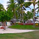 View album