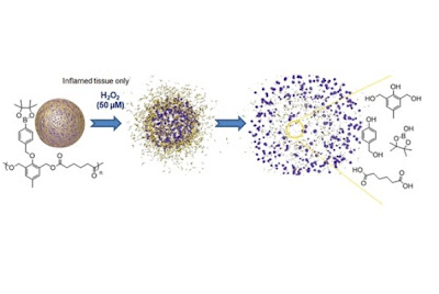 Nanopartikel Dapat Mendeteksi Biokimia Inflamasi Pintar Pelajaran Nanopartikel Dapat Mendeteksi Biokimia Inflamasi