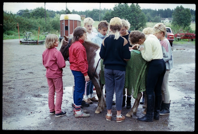 Många ungar , liten tålig ponny.