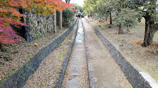 奈良公園  紅葉