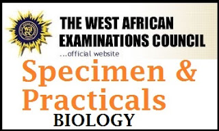 Image result for waec biology practical