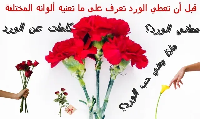 الورد