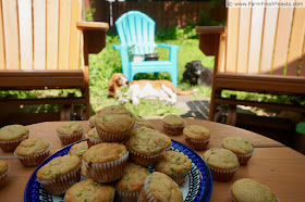photo of a plate of peach zucchini muffins on a table outside, dogs napping in the sunny background