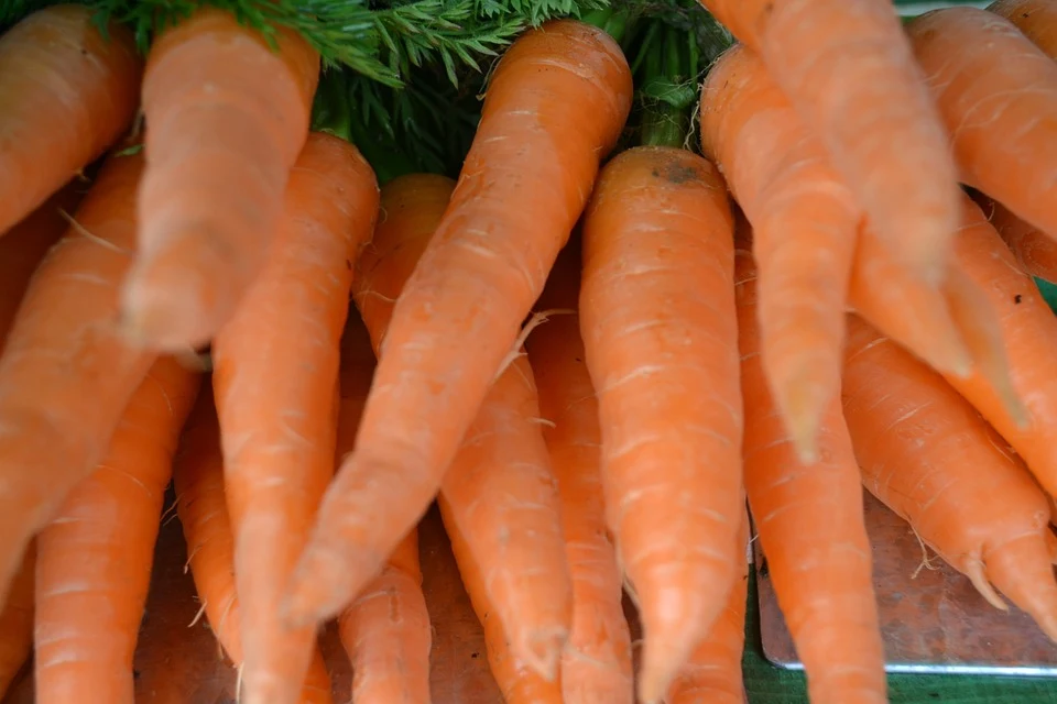 Indian-Inspired Organic Carrot Salad