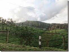 idukki 74