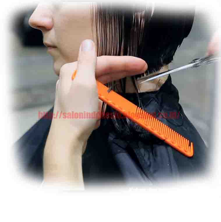 Salon Cara  Potong  gaya  rambut  Bob  Classic