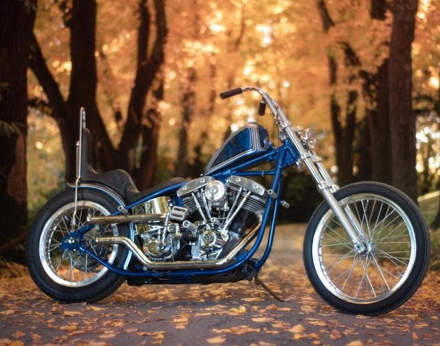 Harley Davidson Shovelhead By Tram Skitcher