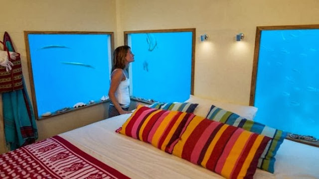 The guests can dine on a lounge deck at water level and sunbath on the upper deck. By night, they’ll then dive into the sea to access their hotel room, where they nod off amongst the fishes and their marine surroundings. For an ethereal effect, the under water suite, which is built four meters below the surface, is lit by underwater spotlights to provide an amazing back lit projection of the Indian Ocean’s tropical sanctuary.