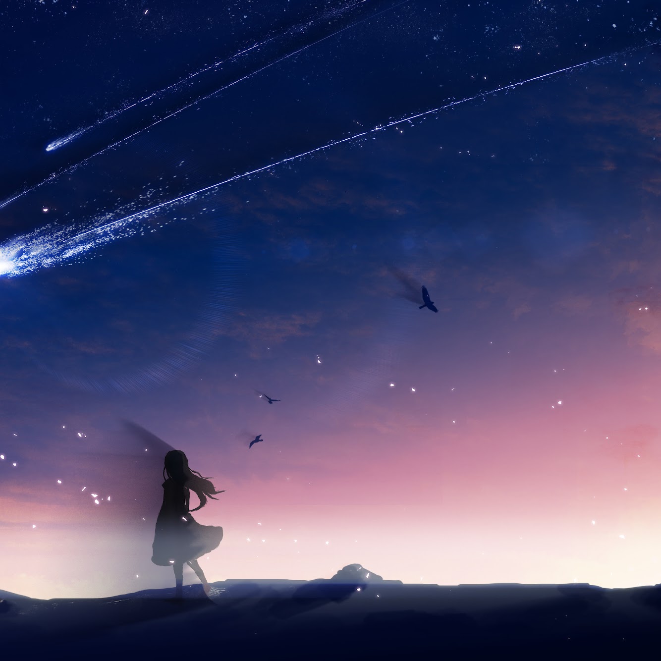 Anime, Night, Sky, Scenery, Comet, 4K, #119 Wallpaper
