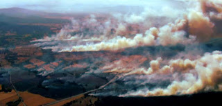 CONAF: Avanza probabilidad de control de incendio forestal en Ercilla