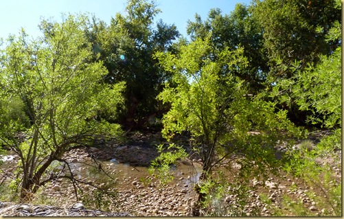 2010-09-24 - AZ, Montezuma's Castle -  1019