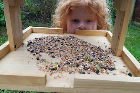 Wild Bird Table review from Wilko 