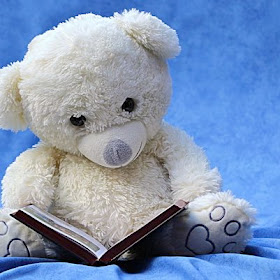 bear reviewing a book