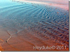 2011-10-21 Huntington Beach SP 054