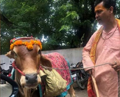 ‘ভবিষ্যৎ বলা গরু’ নিয়ে ফেসবুকে প্রিয়াঙ্কার স্বামী