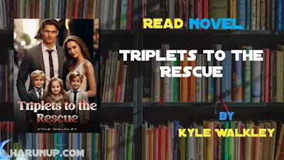 Triplets To The Rescue Novel